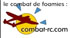 Combat de Foamies